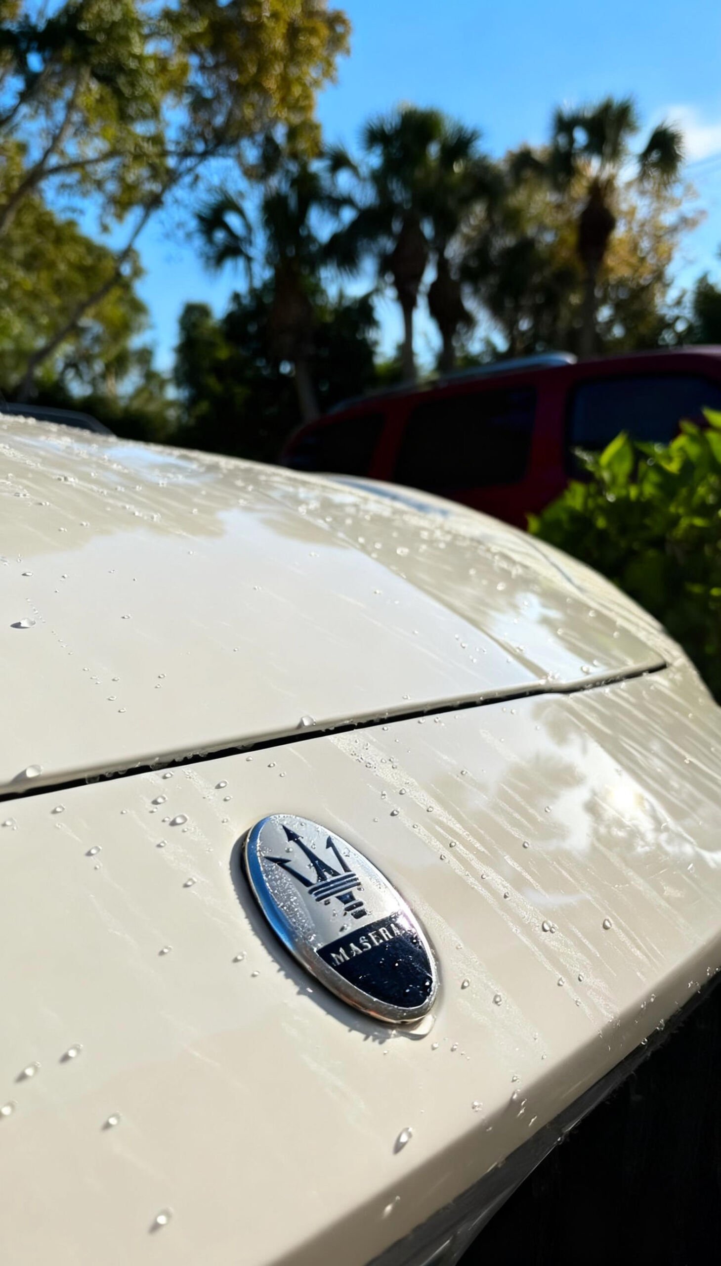 Z Auto Detailing Fort Myers